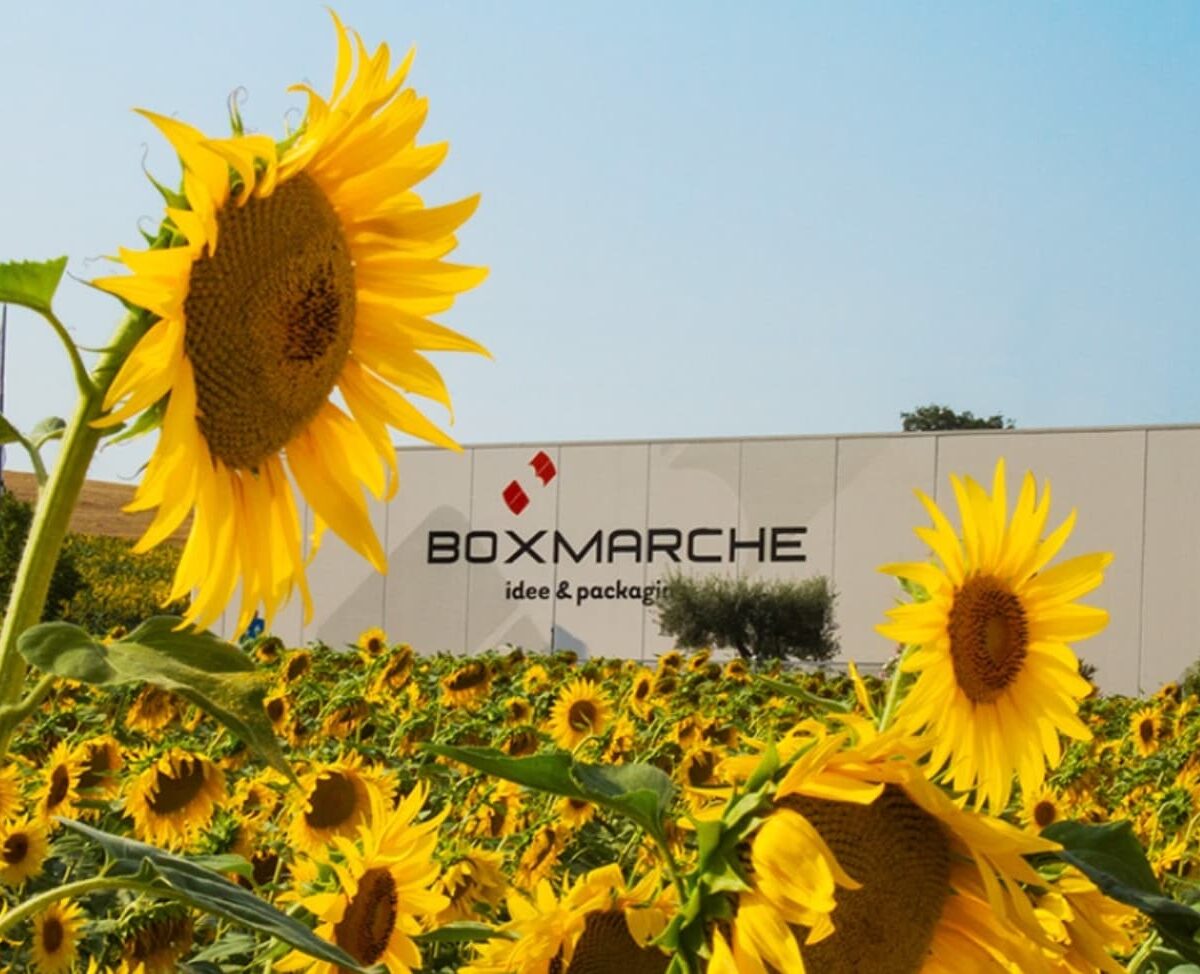 Immagine intro progetto Box Marche
