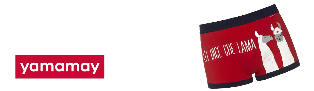yamamy_boxer_logo