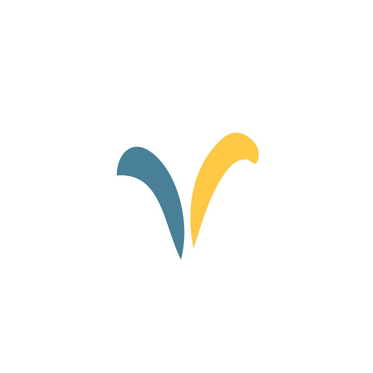 Il progetto grafico e ottimizzazione HTML